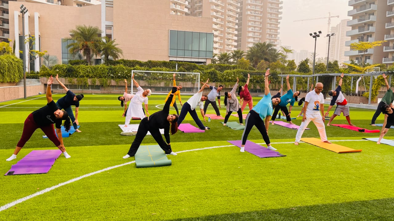 Employees practicing yoga in office